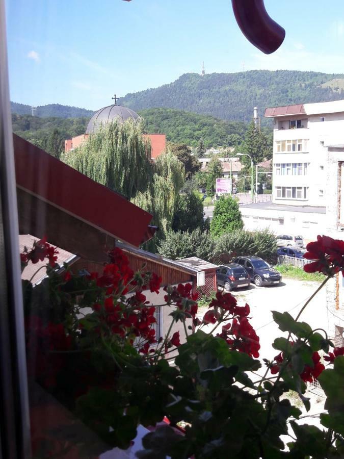 Felicita Appartement Braşov Buitenkant foto